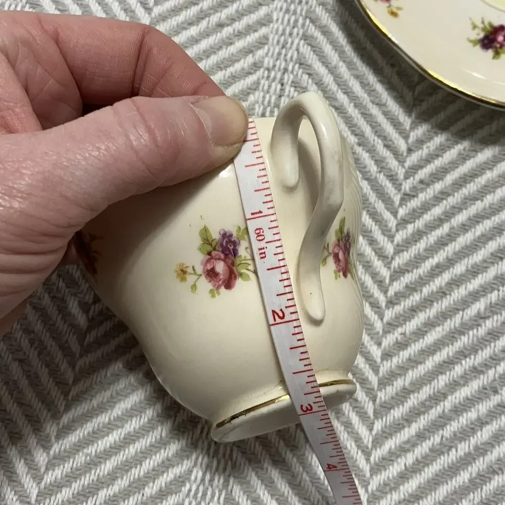 Foley Bone China Rosette Pink and Biqsue Teacup and Saucer Set Yellow Interior